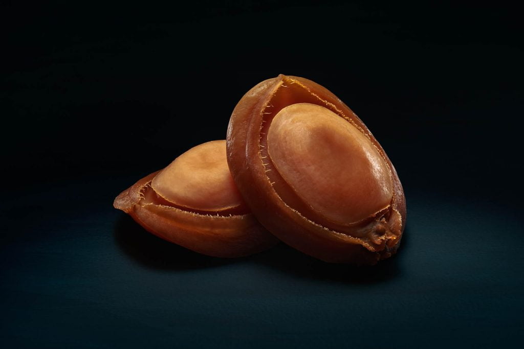 Australian Abalone Everything You Need to Know