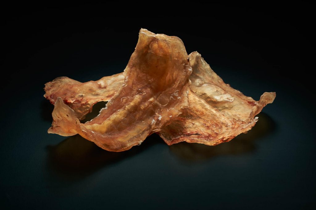 Pink Ling Fish Maw - Tasmanian Caught & Dried - Candy Abalone