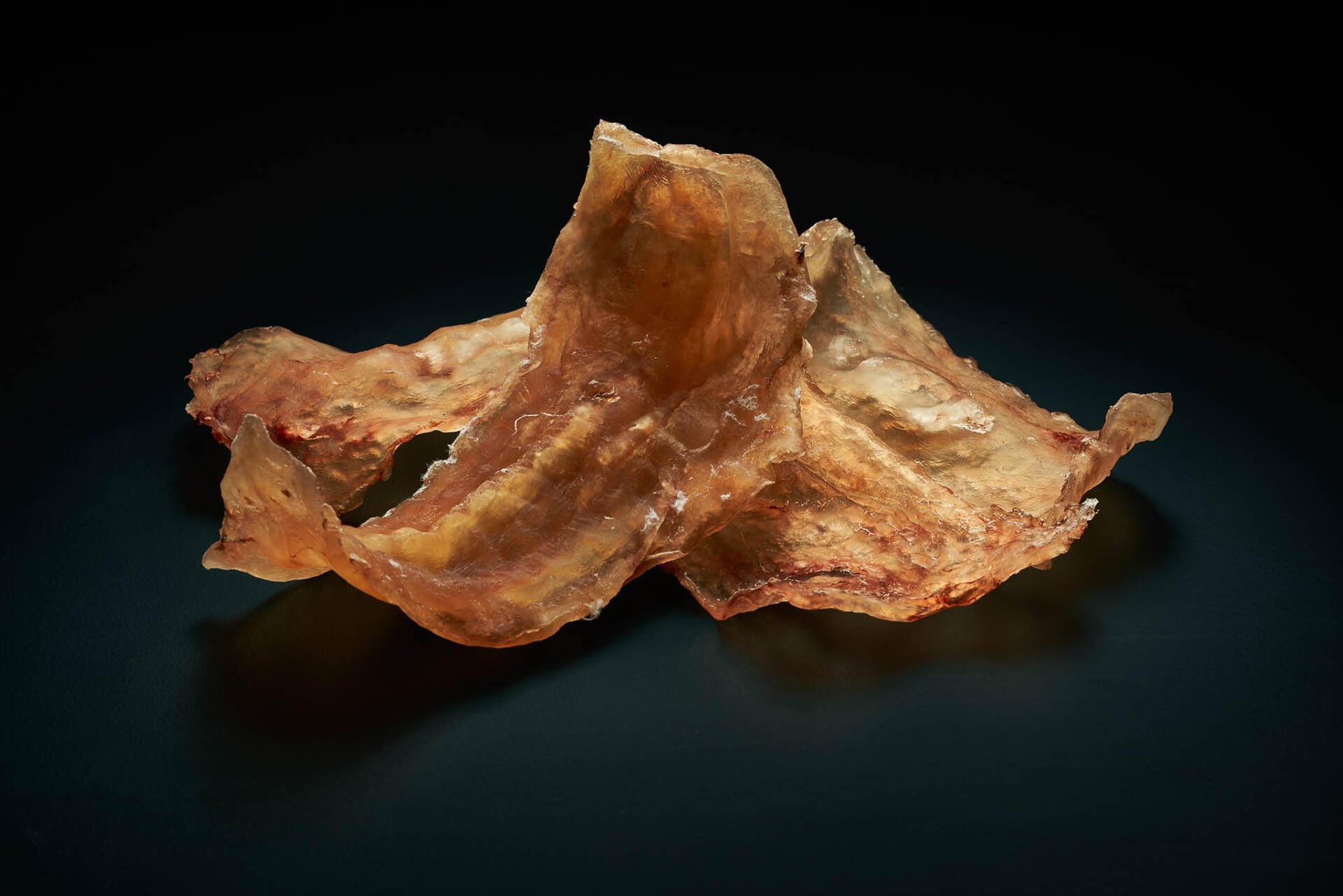 our seafood - wild tasmanian dried abalone - candy abalone