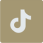 Tiktok icon