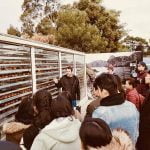 Visits from Drysdale House