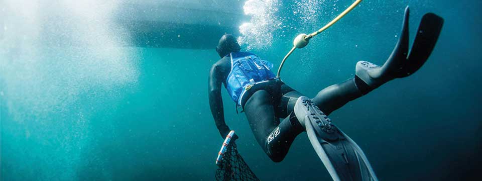 Diver diving for abalone