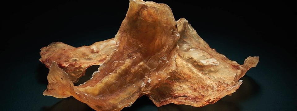 Dried Fish Maw