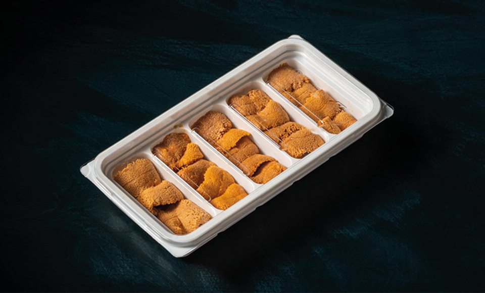 sea urchin ready to eat