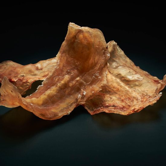 Fish Maw