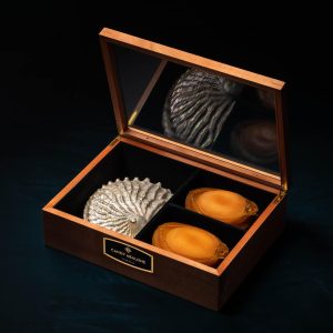Abalone Gift Boxes