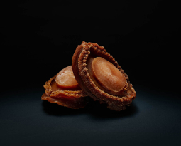 Blacklip Abalone